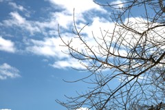 冬の空②