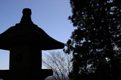 影