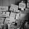 boxes