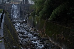雨