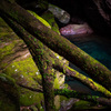 deep nature