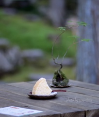 森でカフェ