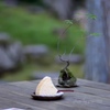 森でカフェ