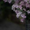 Of inorganic