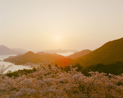 開山の朝