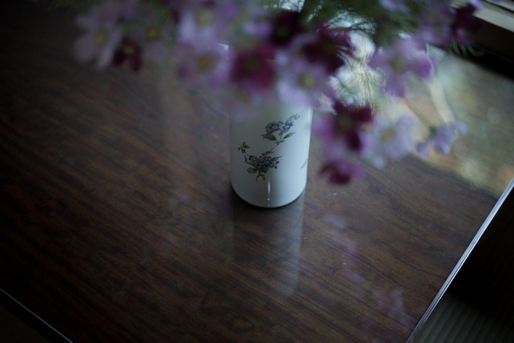 花と影