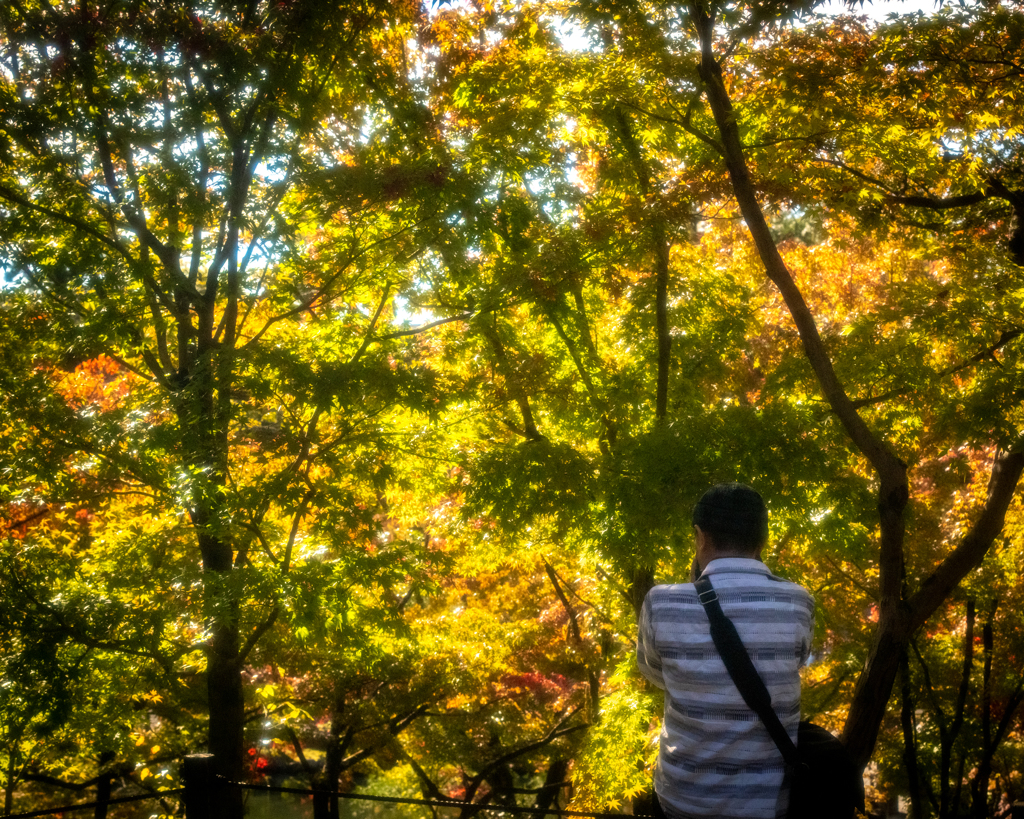 そして京都へ　〜ある写真家との出会い〜