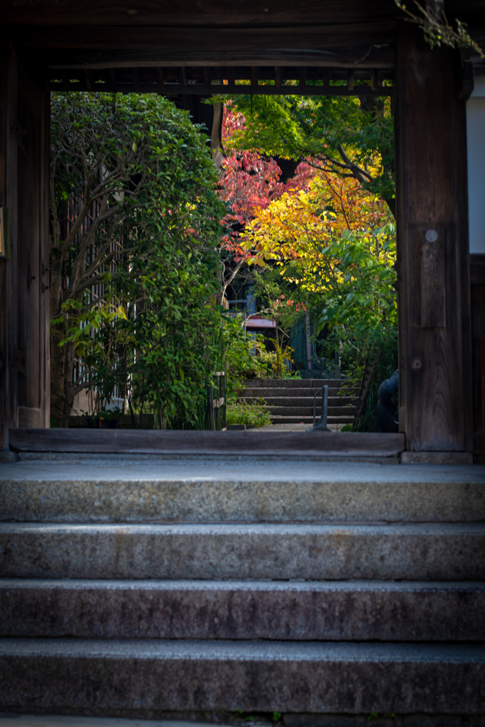 美しき京の秋