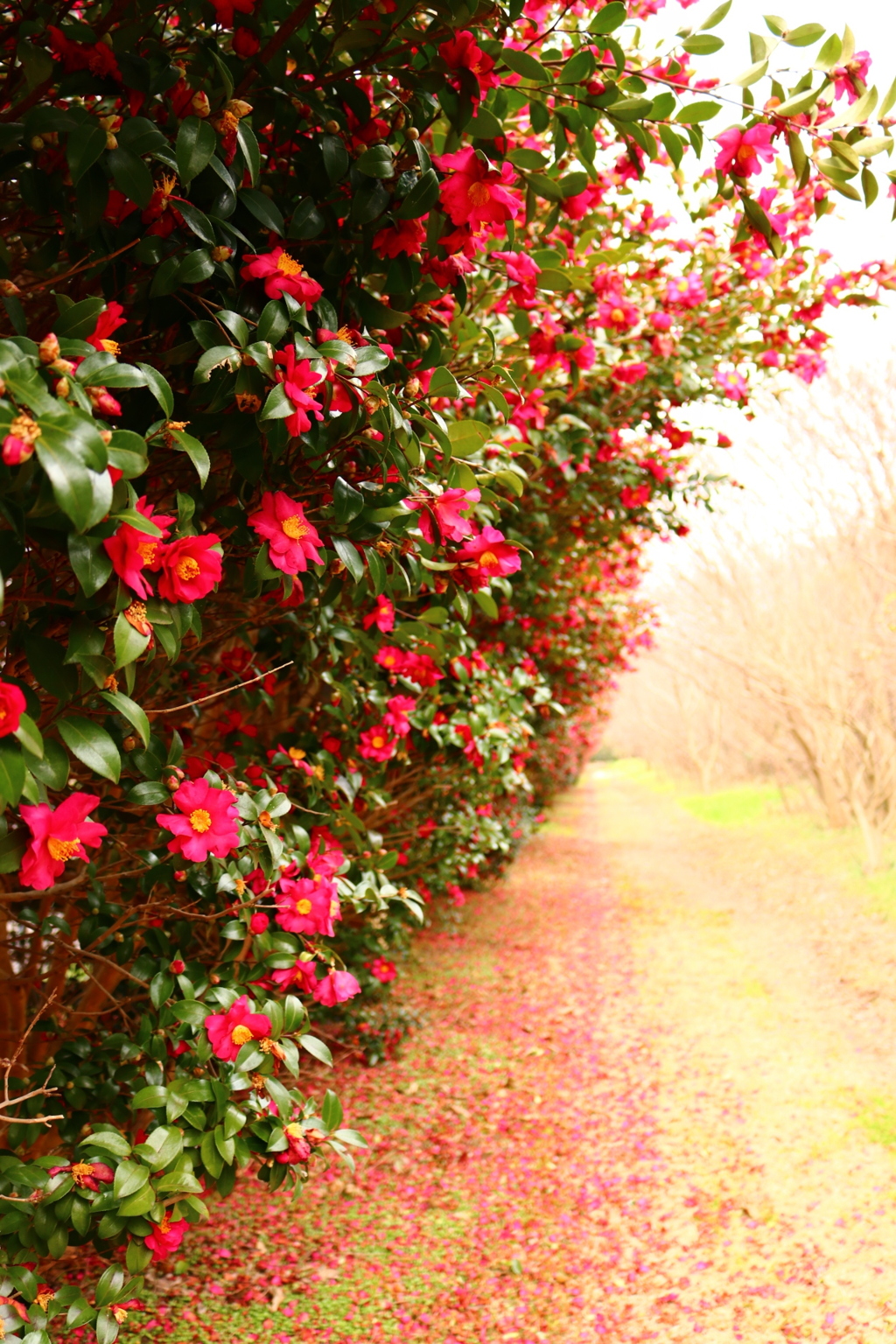 20180202151237_IMG_0375