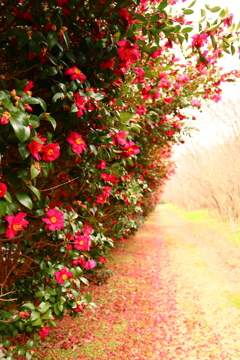 20180202151237_IMG_0375