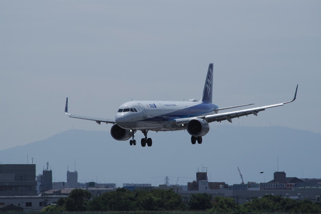 A321neo