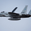 バックアップのF15