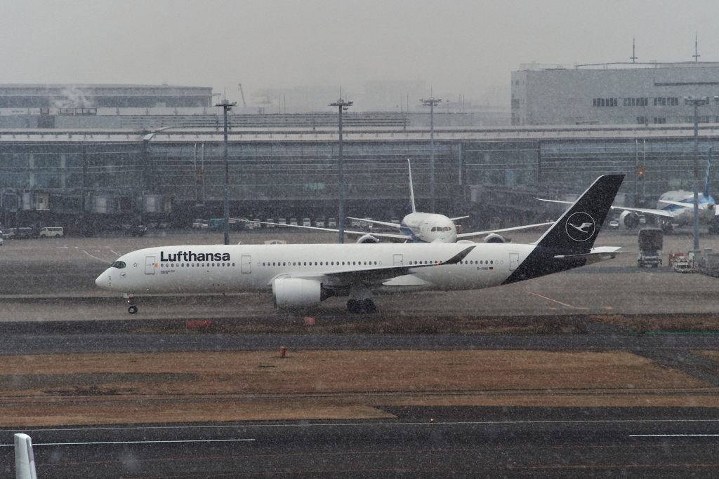 ルフトハンザ@羽田空港