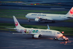 お初のしまじろうジェット737