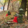 山寺の道