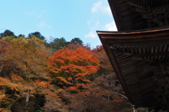 塔と紅葉