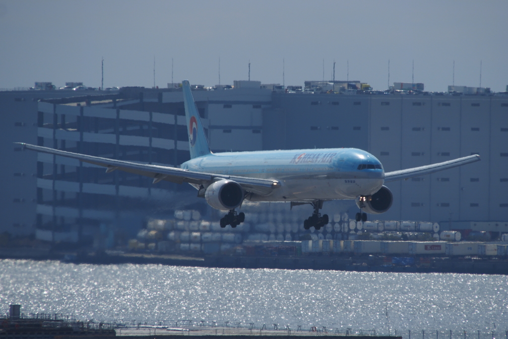 海レフ