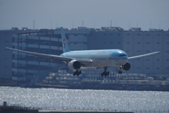 海レフ