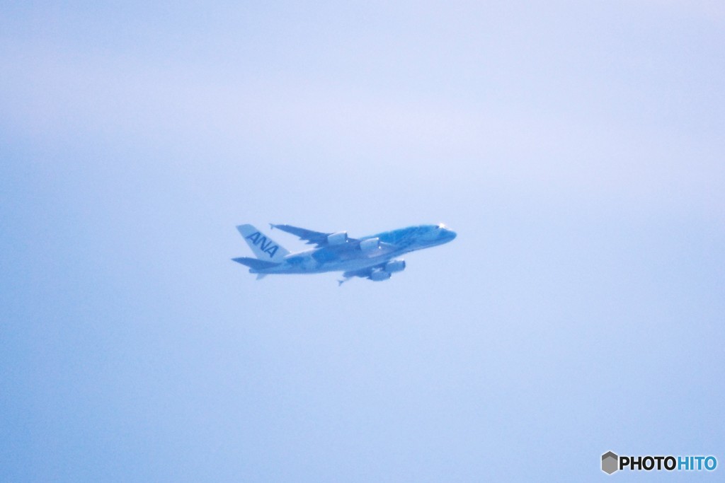 神戸空港から撮影