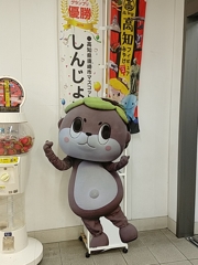 ボクは、暴れものじゃないです