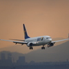 神戸空港の朝