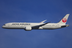 JAL B8−9 標本っぽい１枚