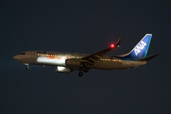 羽田34L ANA737-800(FlowerJet)