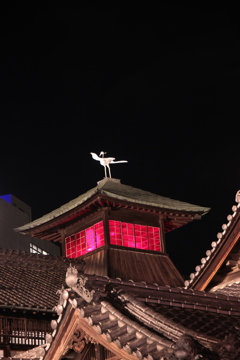 夜の道後温泉2