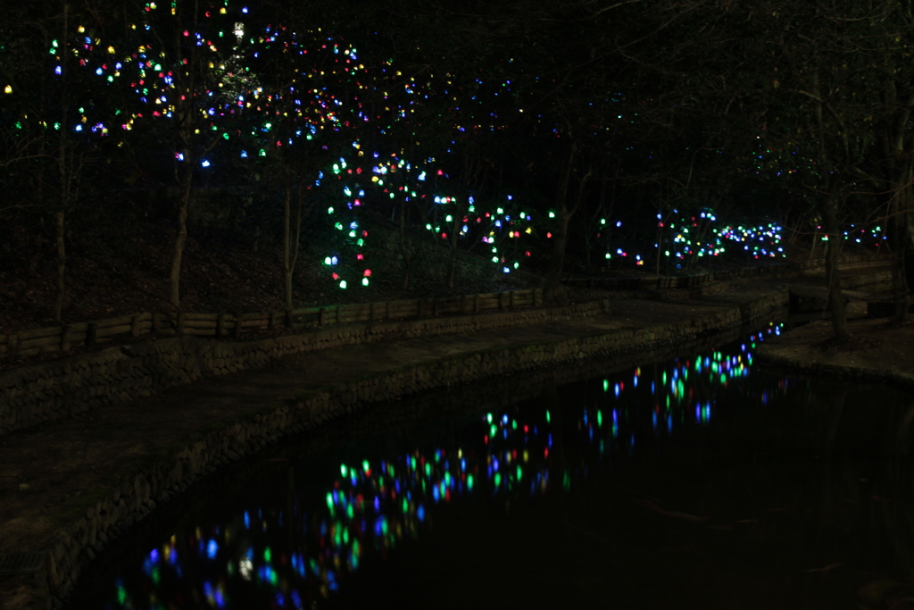 道後公園イルミネーション