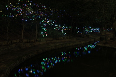 道後公園イルミネーション