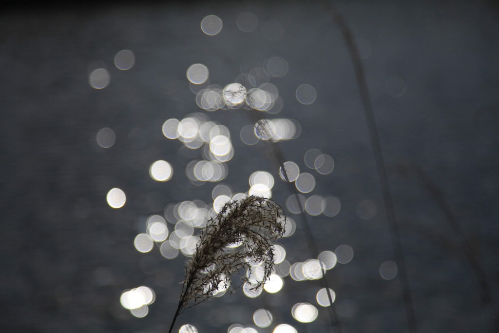 A2746C99-68B5-4789-A5AF-BBC07538A504