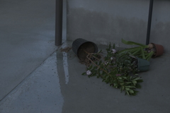 風の爪跡