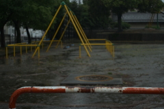 雨の公園