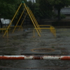 雨の公園