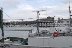 イカ釣船 No.2