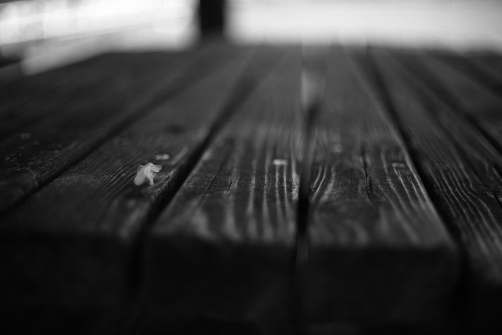 公園のベンチ ⑤