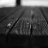 公園のベンチ ⑤