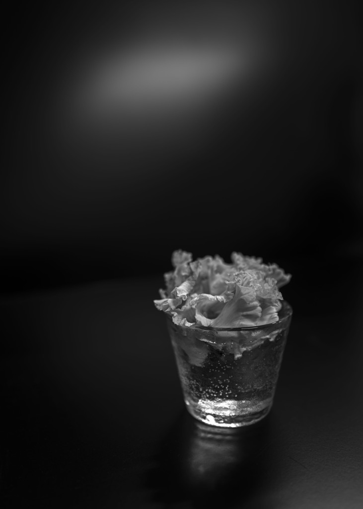 L1000660