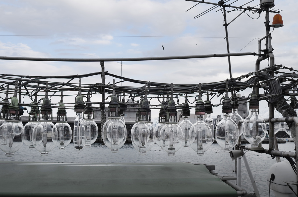 イカ釣船　No.３