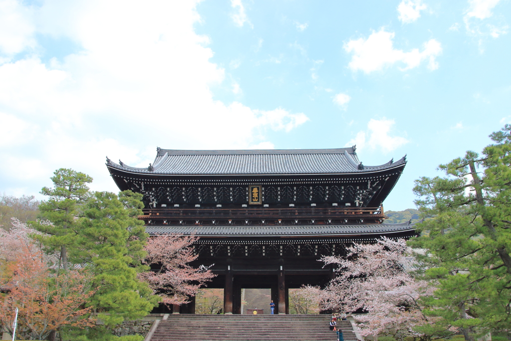 桜と知恩院