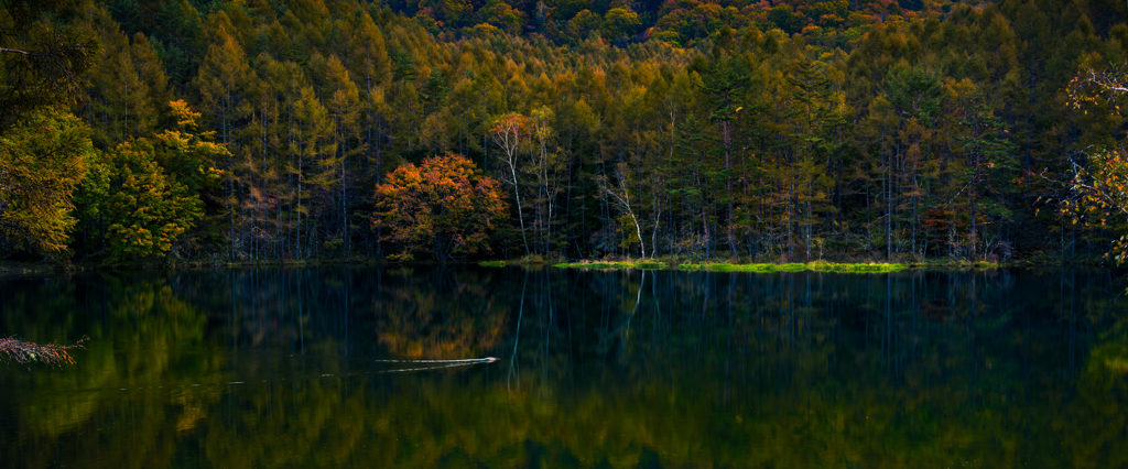 [ A mirror in nature ]