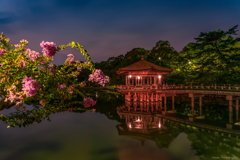 [ The Beauty of Nara ]