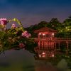[ The Beauty of Nara ]