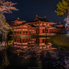 Byodoin Temple in Cherry Blossom Season.