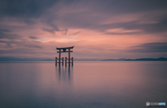 The floating torii at Shirahige Shrine. 