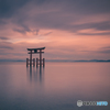 The floating torii at Shirahige Shrine. 