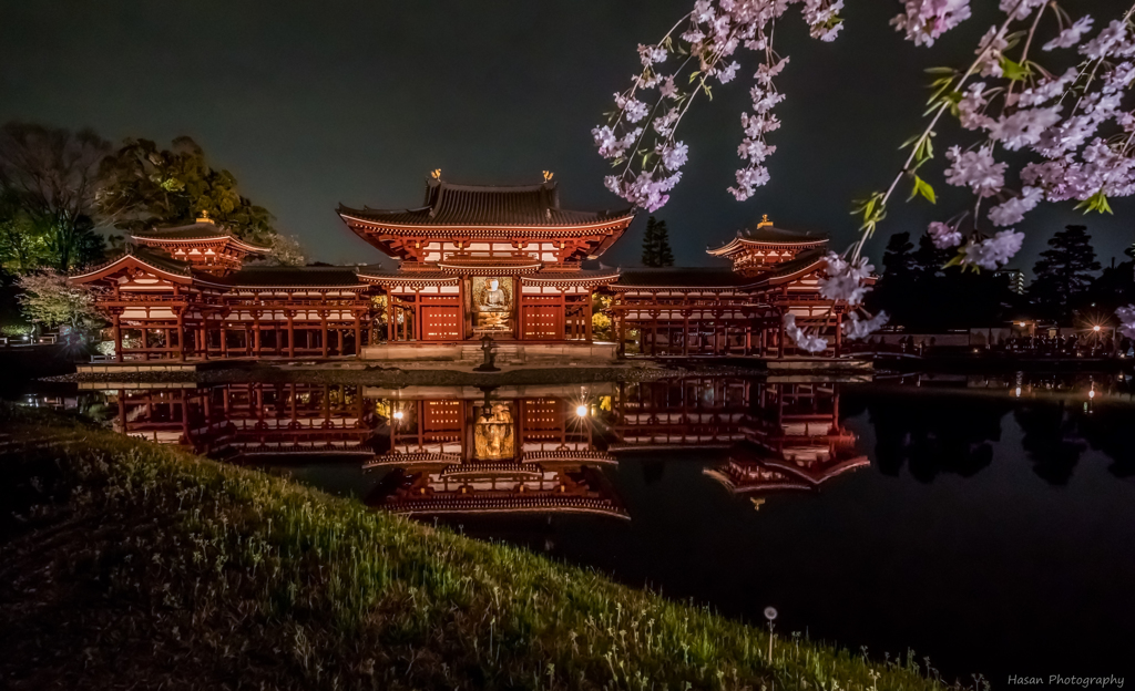 Byodoin Temple in Cherry Blossom Season.