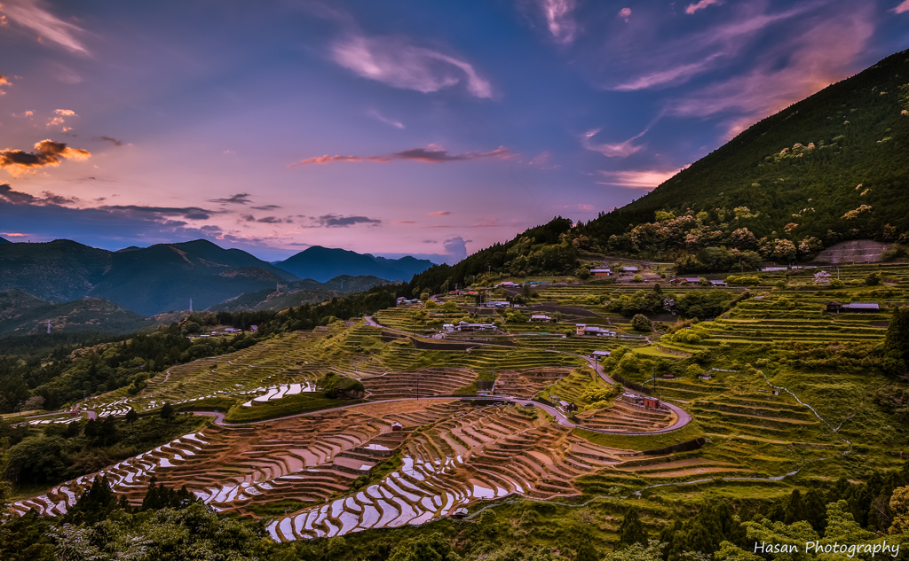 Japanese Rice Terrace!!