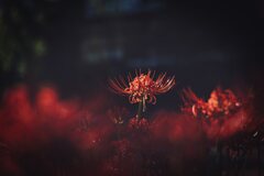 810_7709