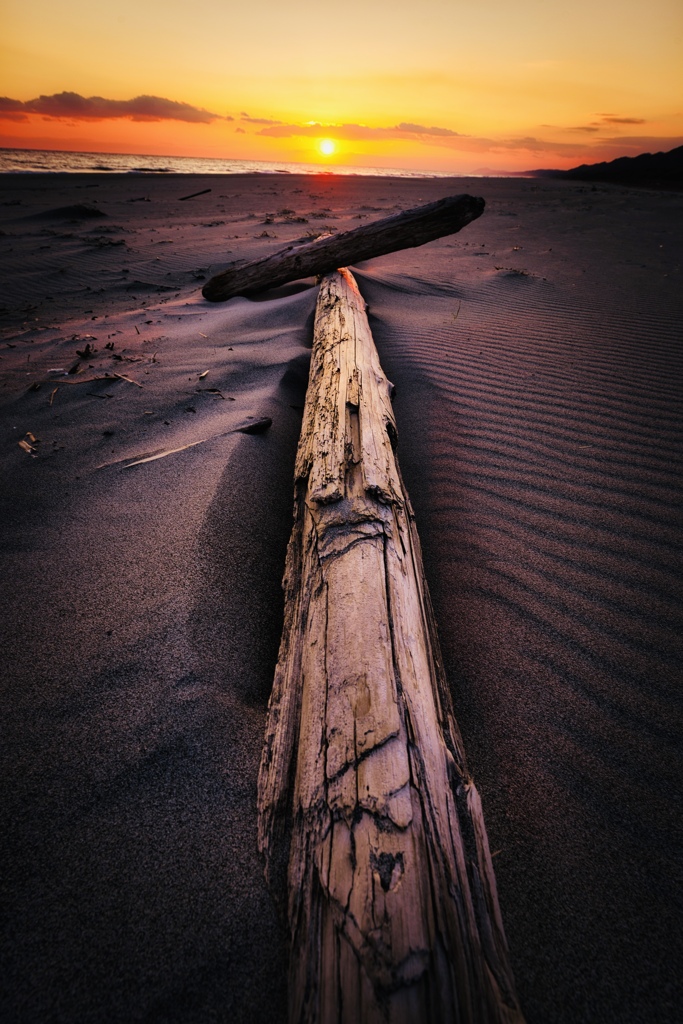 沈む太陽と交わる影